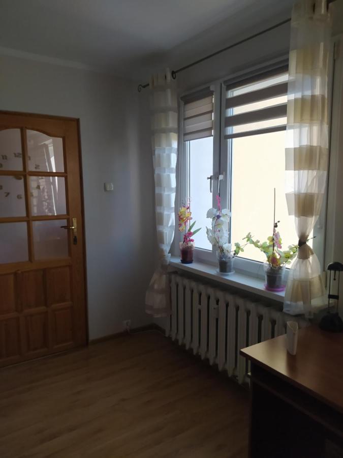 Apartament Z Widokiem Na Sniezke Apartment Jelenia Gora Bagian luar foto