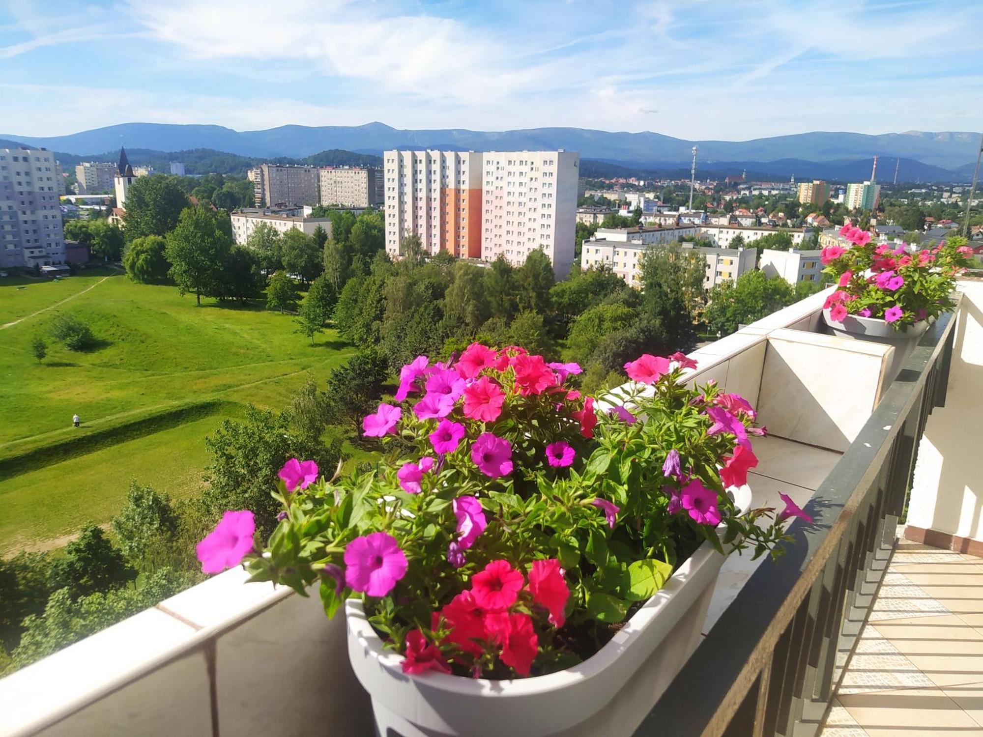 Apartament Z Widokiem Na Sniezke Apartment Jelenia Gora Bagian luar foto